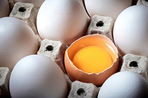 protein