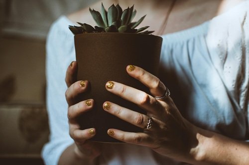 wellness trends